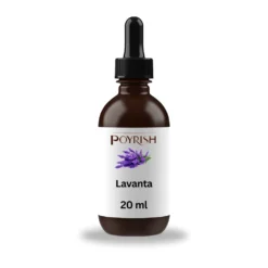 Lavanta Mum Esansı 20 ml
