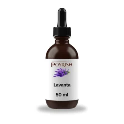 Lavanta Mum Esansı 50 ml
