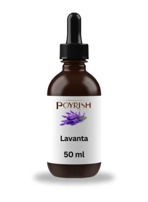 Lavanta Mum Esansı 50 ml