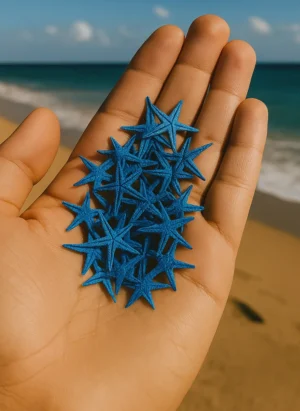 Mavi Deniz YIldızı Küçük 10lu