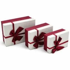 Dikdörtgen K1032 Çift Renk Hediye Kutusu 3lü