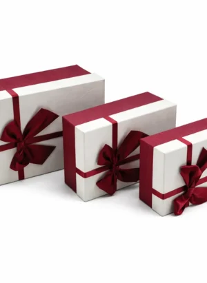 Dikdörtgen K1032 Çift Renk Hediye Kutusu 3lü