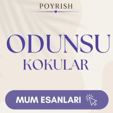 Odunsu & Aromatik Kokular